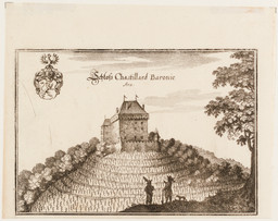 Vue du château et du vignoble de Châtelard.