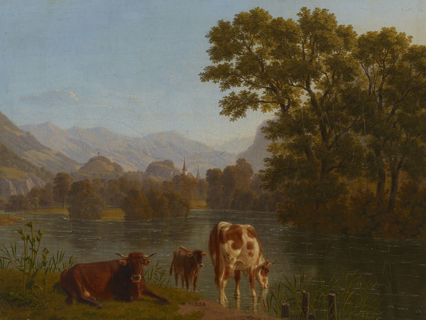 Kühe an der Aare bei Interlaken