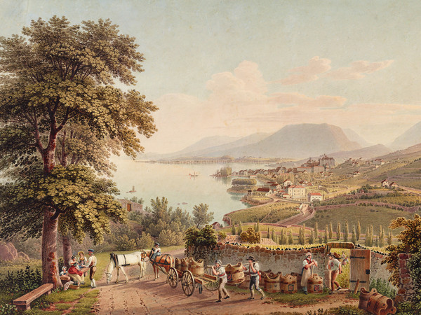 Vue du vignoble et de la ville de Neuchâtel depuis le nord-est