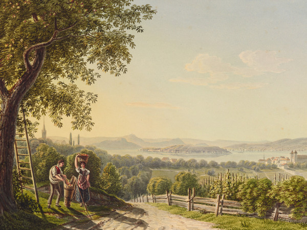 Cueillette des pommes en Thurgovie et vue du lac de Constance