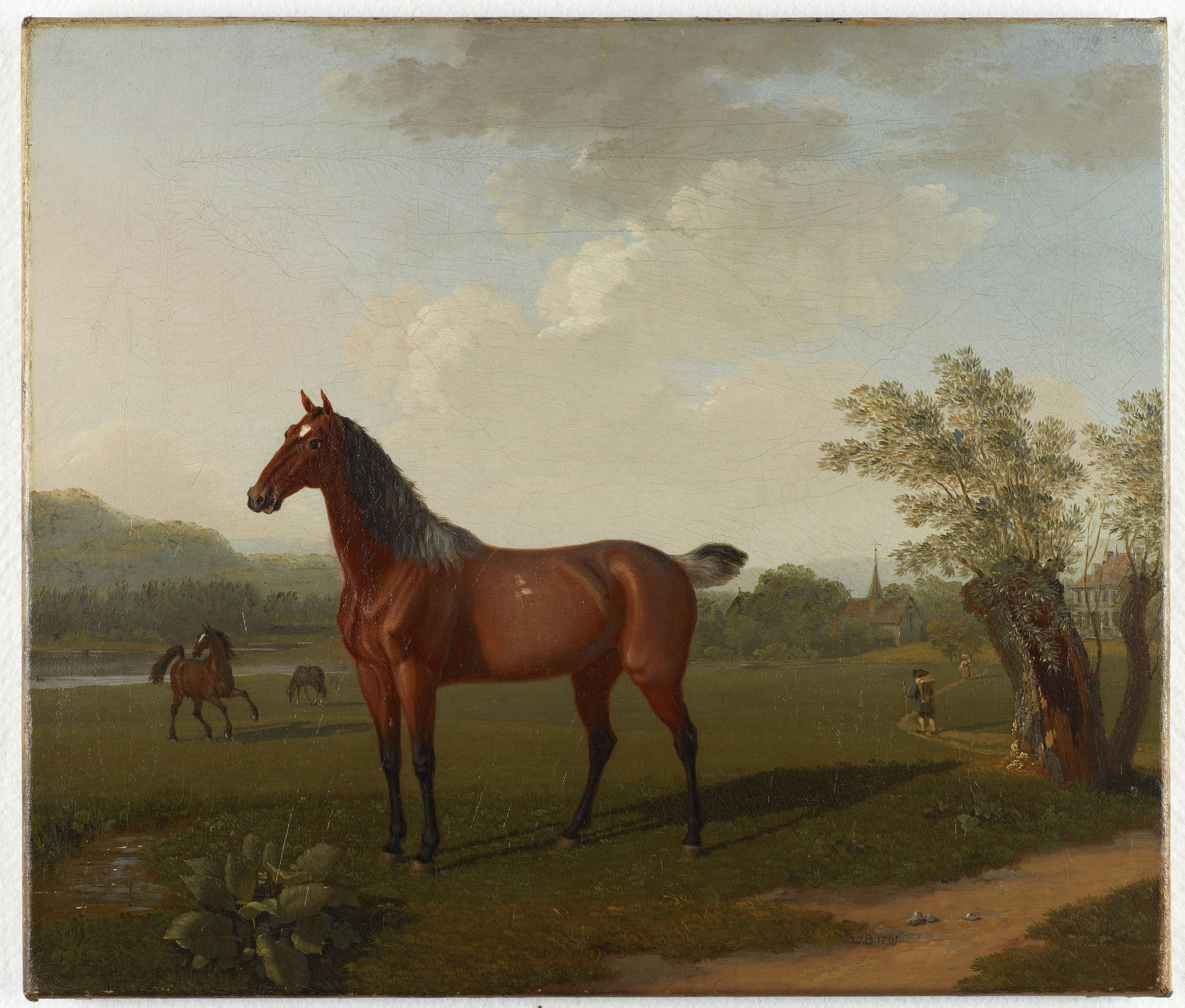 Paesaggio di cavalli