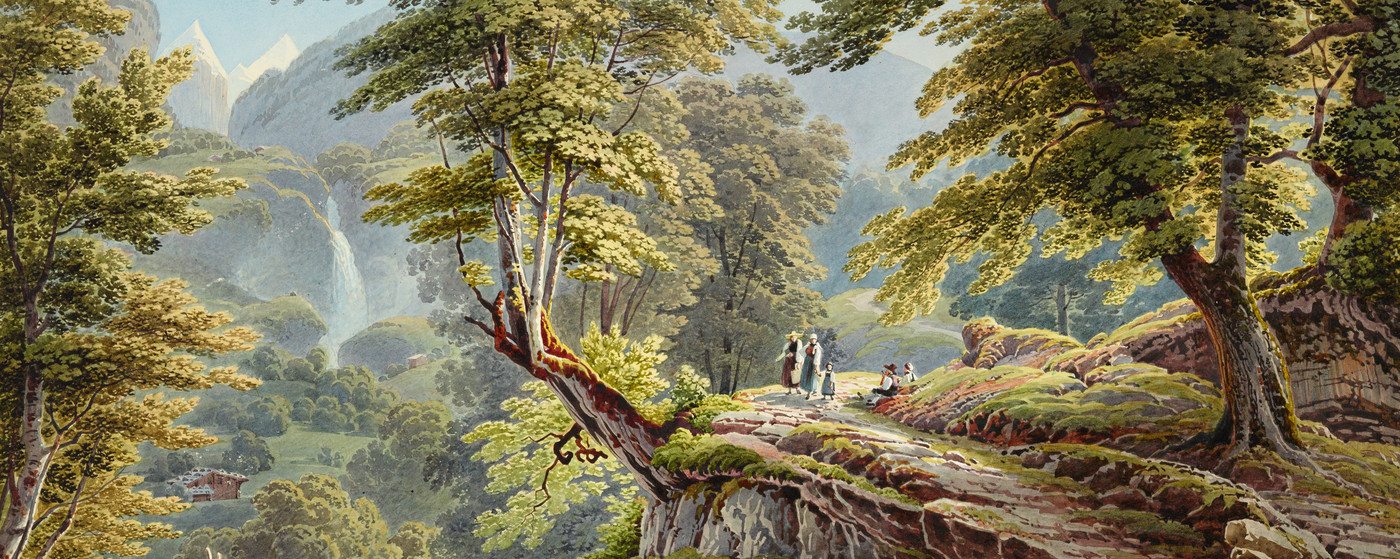 Wald in der Nähe von Meiringen; im Hintergrund die Reichenbachfälle