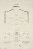 Textvorlage zum Stammbaum der Schweizerischen Eidgenossenschaft